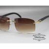 cartier-horn-big-lenses-sunglasses-classic-rimless-ct3524012-19