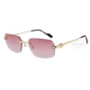 Cartier C Decor Acetate Titanium Rimless Sunglasses CT0271 (13)
