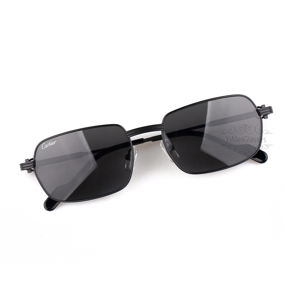 Lunettes de soleil Cartier C Decor Titanium Acetate Full Frame CT0463 (7)