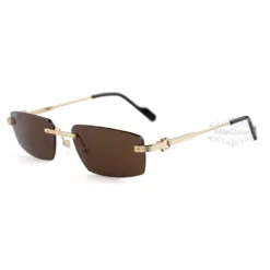 Cartier C Decor Titanium Acetate Rimless Sunglasses CT0535 (2)