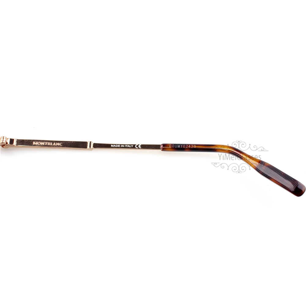 Montblanc Snowcap Emblem Metal Full Frame Eyeglasses MB0095 (7)