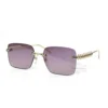 Cartier Clash de Metal Rimless Sunglasses CT0545
