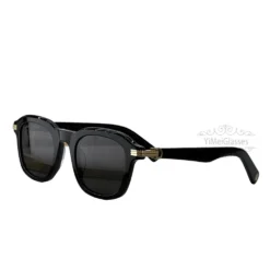 Cartier Première de Acetate Full Frame Sunglasses CT0536S