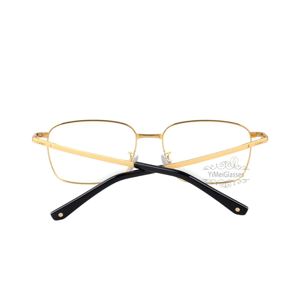 Cartier Santos De Double Bridge Titanium Full Frame Eyeglasses CT0320 (10)
