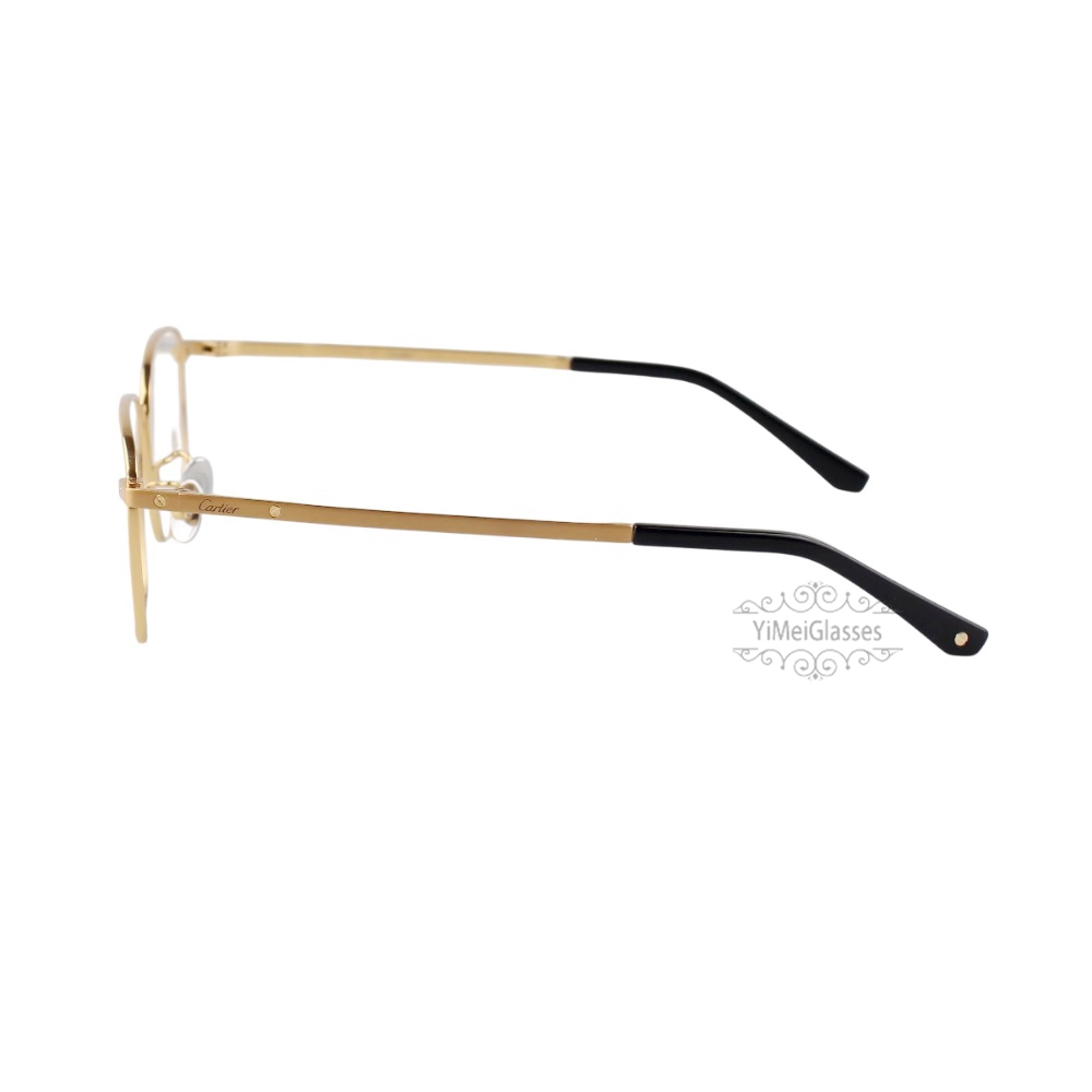 Cartier Santos De Double Bridge Titanium Full Frame Eyeglasses CT0320 (11)