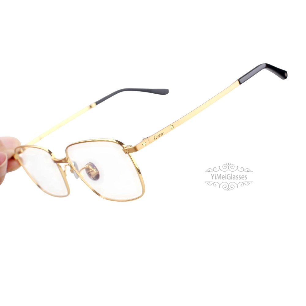Cartier Santos De Double Bridge Titanium Full Frame Eyeglasses CT0320 (9)